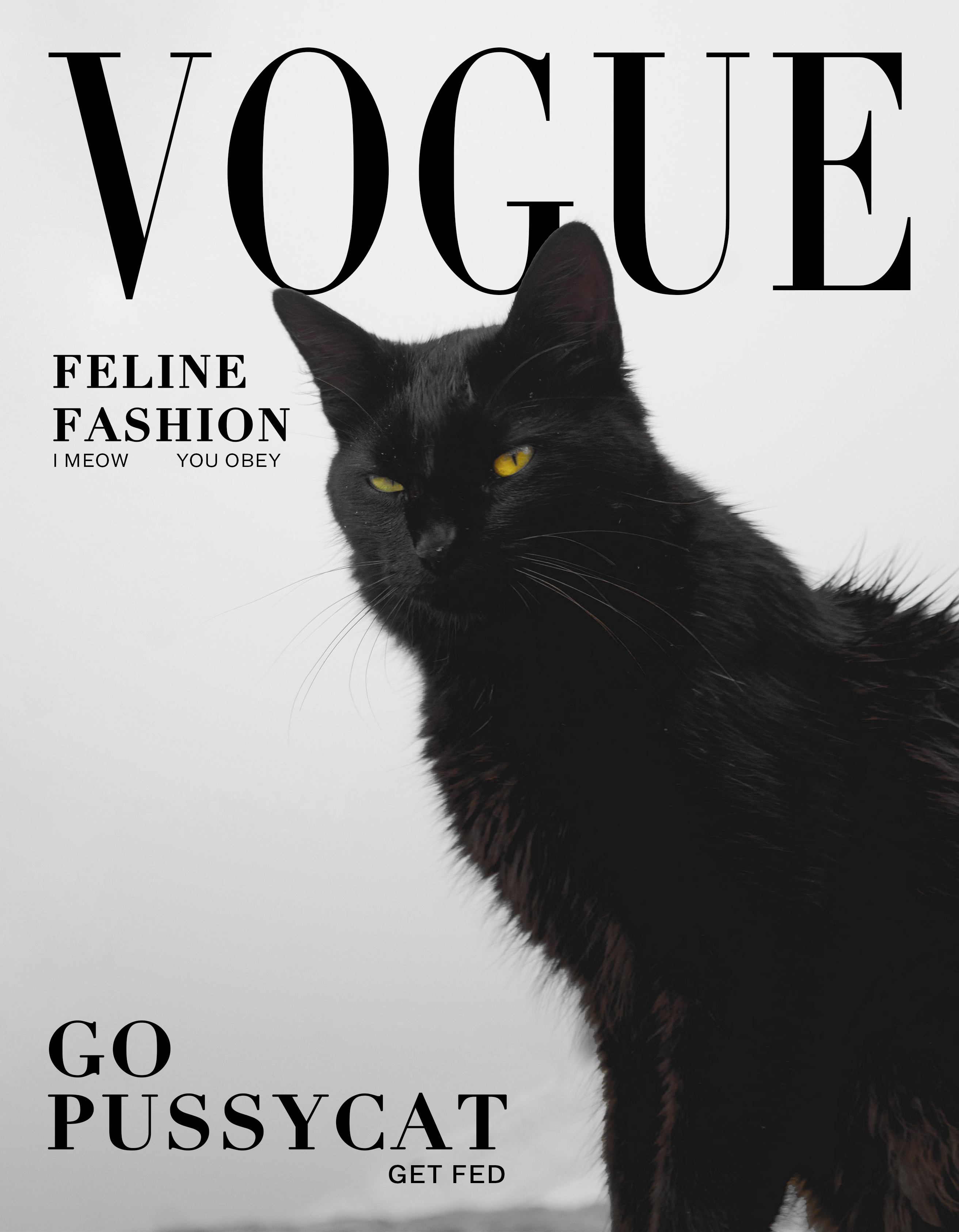 Cat Vogue poster design