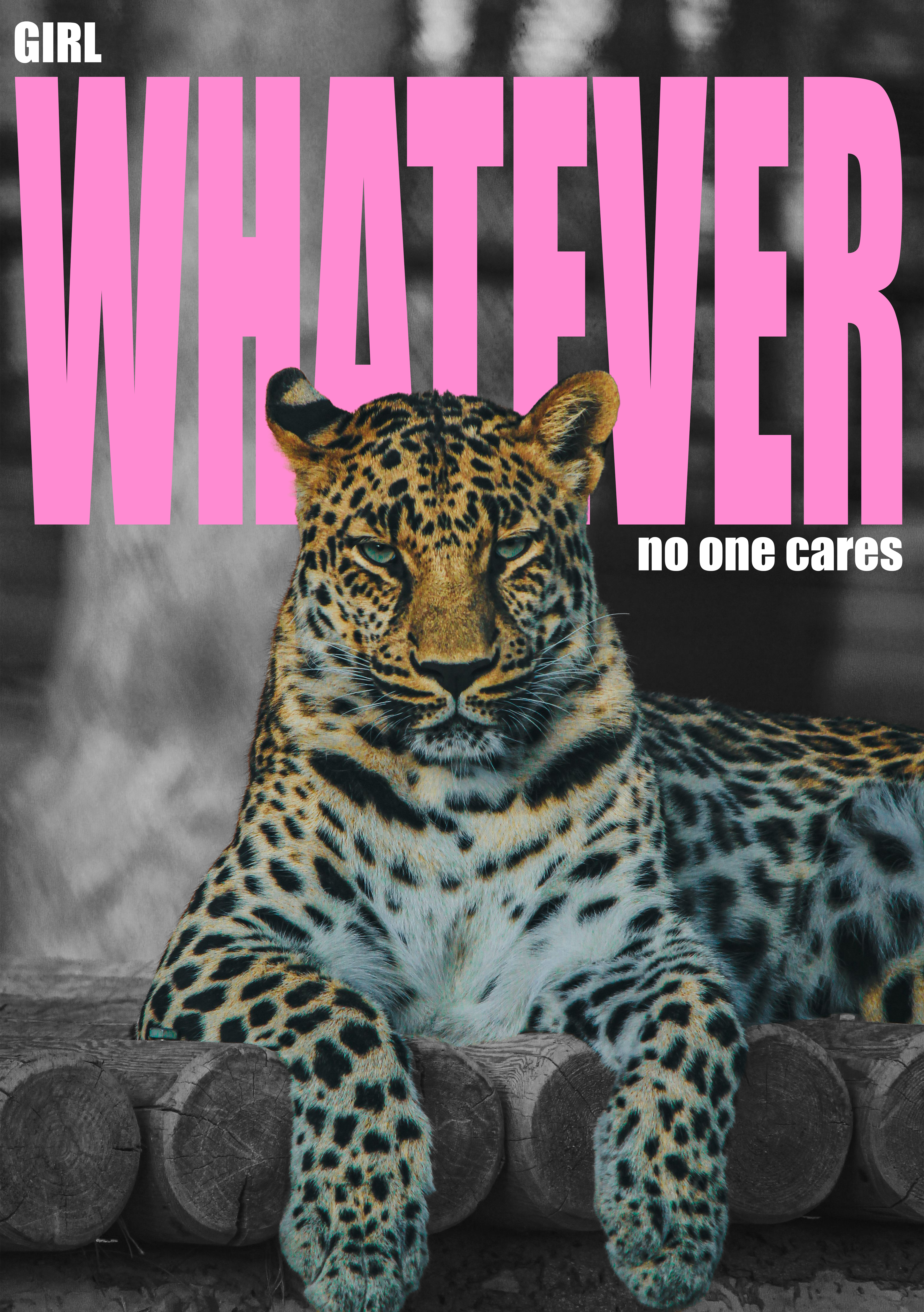 Leopard Poster Design